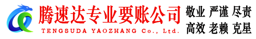 河东讨账公司